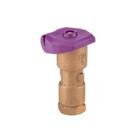 1" Female Threaded Red Brass/Stainless Steel 1-Piece Quick Coupling Valve | HTRHQ5LRCR