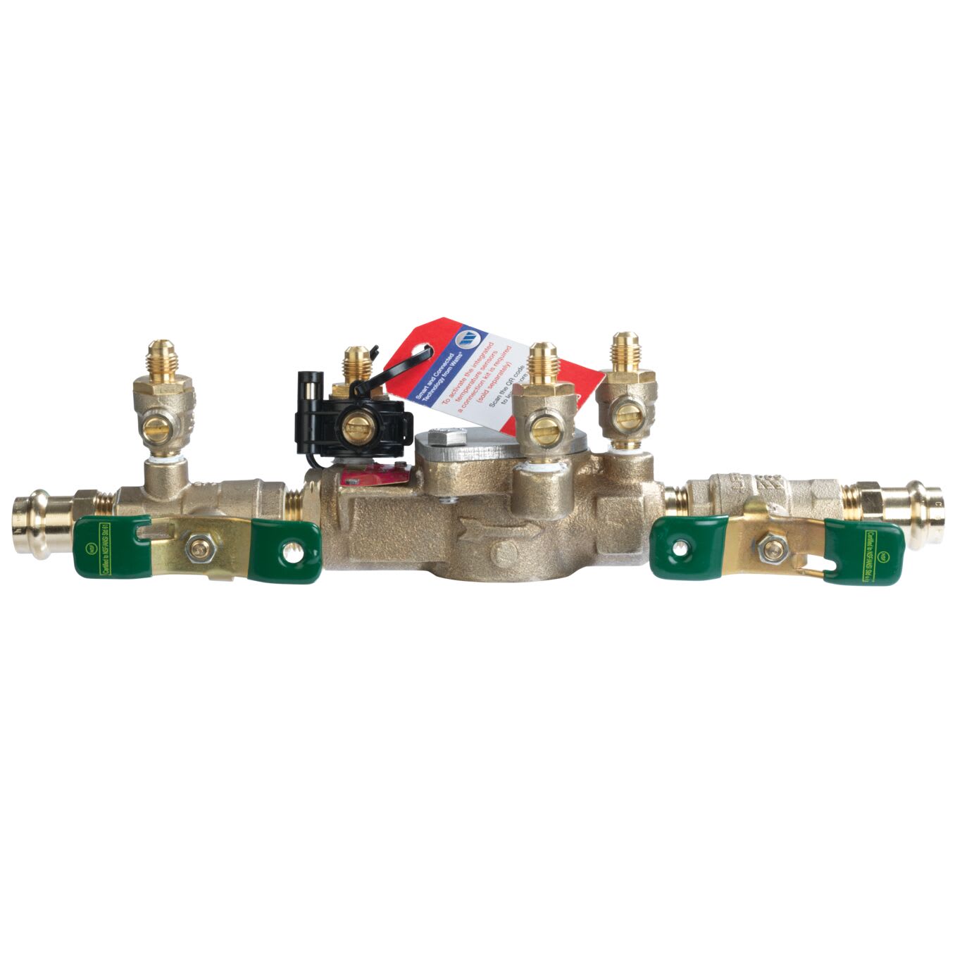 Watts LF007M3-QT-FZ Double Check Valve Assembly Backflow Preventer Qua ...